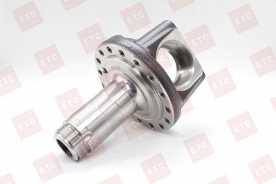 VO 23906231 Кулак поворотный