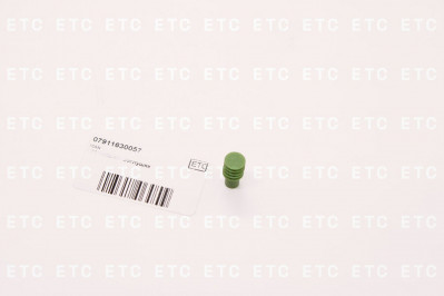 07911630057 Заглушка