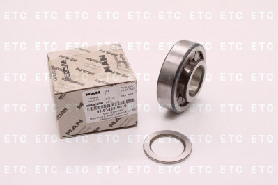 51934200010 Подлшипник