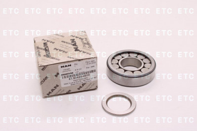 51934200010 Подлшипник