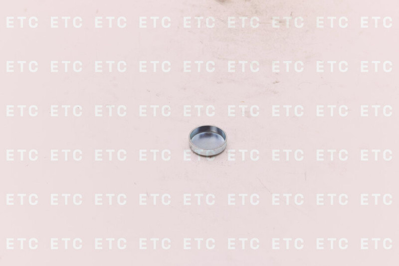 3900958 Заглушка блока цилиндров 32 мм — 2