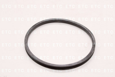 DT 116373 Кольцо балансира уплотнительное