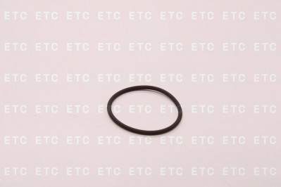 124415 Кольцо уплотнительное