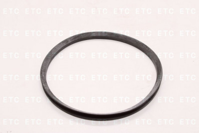 DT 116373 Кольцо балансира уплотнительное