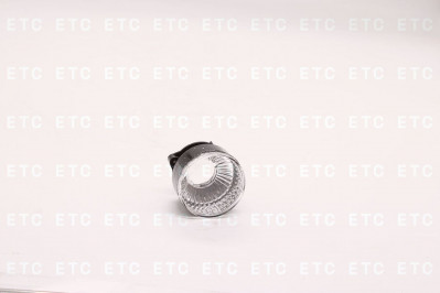 TD0151038R1 Повторитель поворота FMX правый