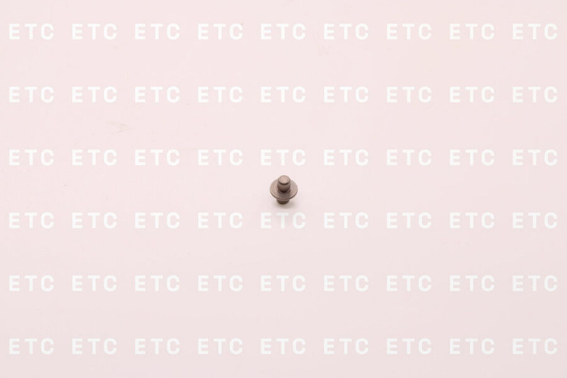 F00ZB20002 Нажимной болт — 2