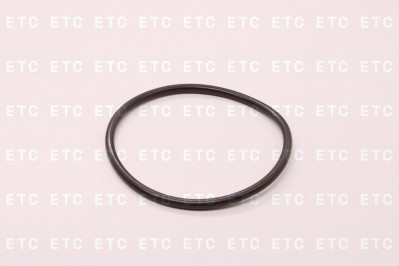 SITRAK WG586340002 Уплотнительное кольцо нижнего шкворня