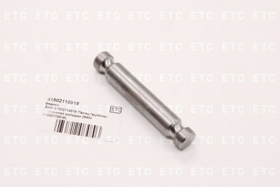 81502110018 Палец пружины тормозной колодки