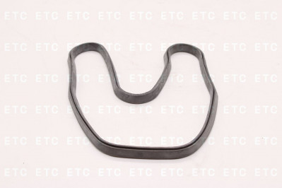 2095100 Прокладка клапанной крышки