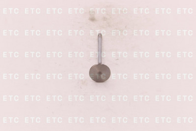 3942588 Клапан впускной