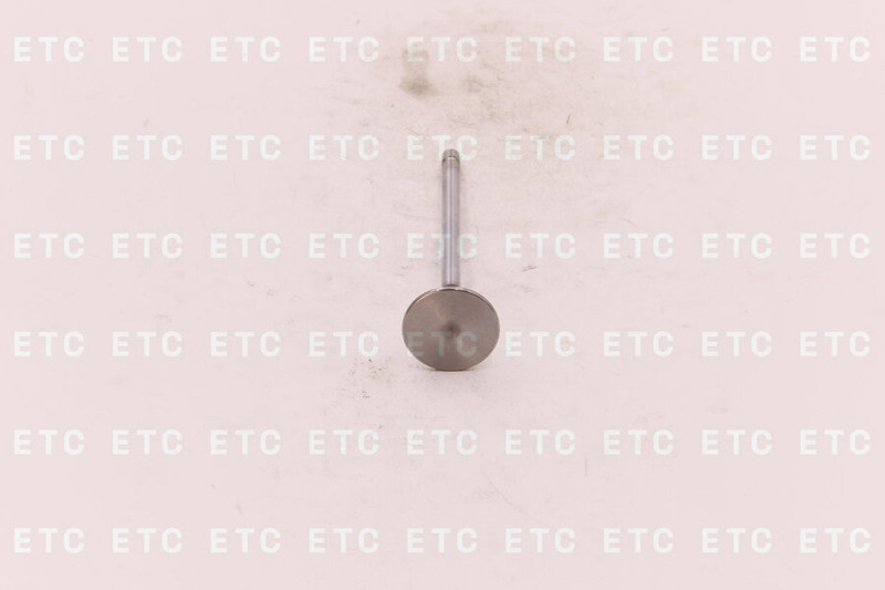 3942588 Клапан впускной — 1