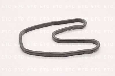 2095100 Прокладка клапанной крышки