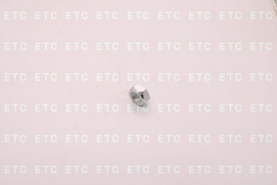 ZF 0737300037 Гайка