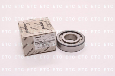 51934200010 Подлшипник