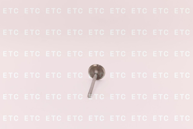 6N9916 Клапан выпускной — 4