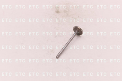 3940735 Клапан впускной 4/6ISBe, ISF3.8