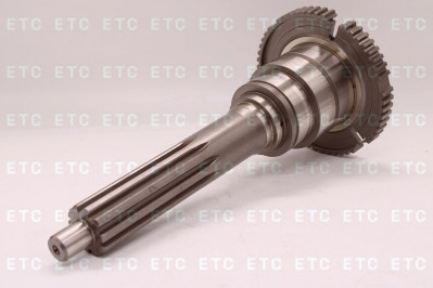 CEI 190303 Вал первичный