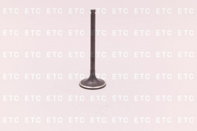 3901117 Клапан впускной 6BT/4BT EQB