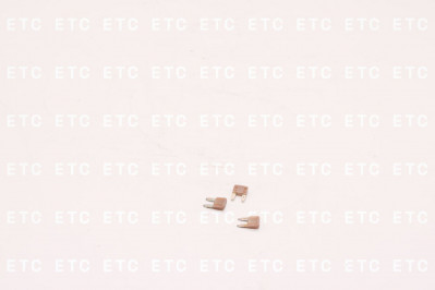 0073130005 Предохранитель плавкий mini 5A