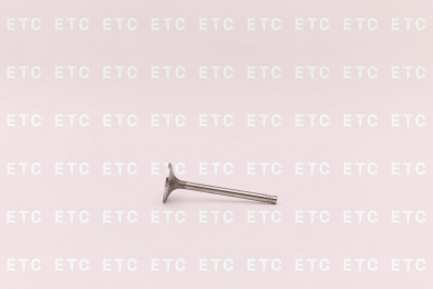 6N9916 Клапан выпускной