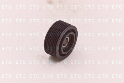 5256103 Ролик обводной ISBe, CT,ISLe, L