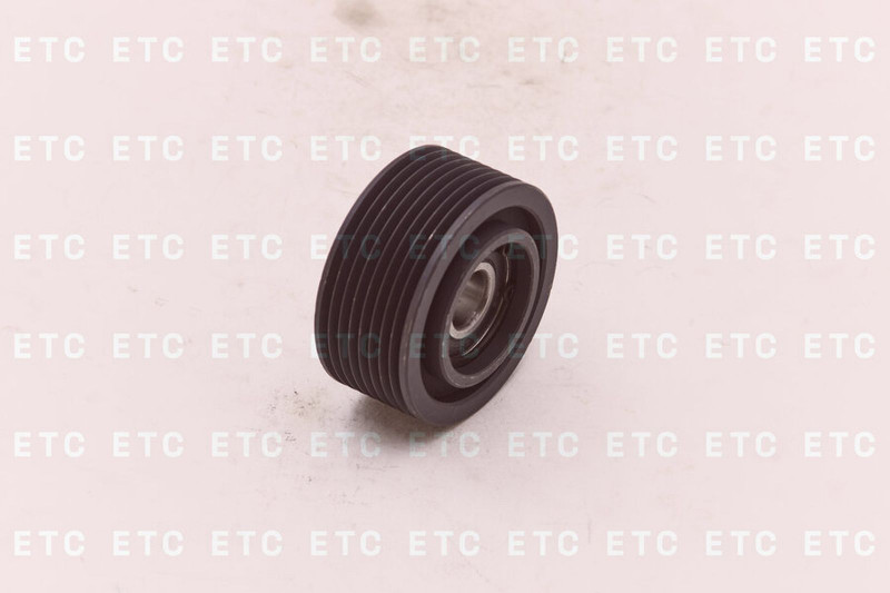 5256103 Ролик обводной ISBe, CT,ISLe, L — 2